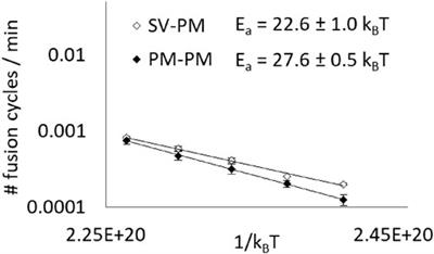 Cooperation of Conical and Polyunsaturated Lipids to Regulate Initiation and Processing of Membrane Fusion